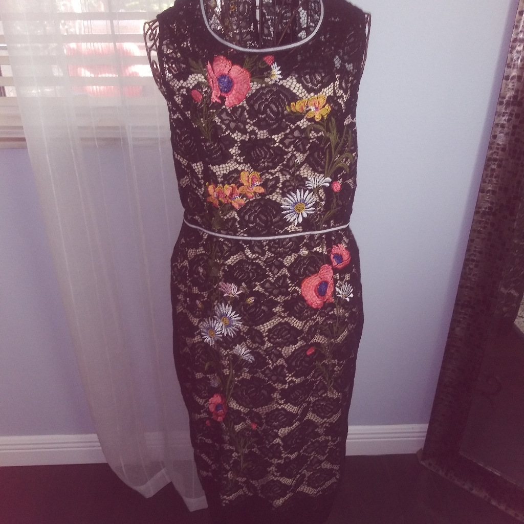 Brand New ABS Collection Dress